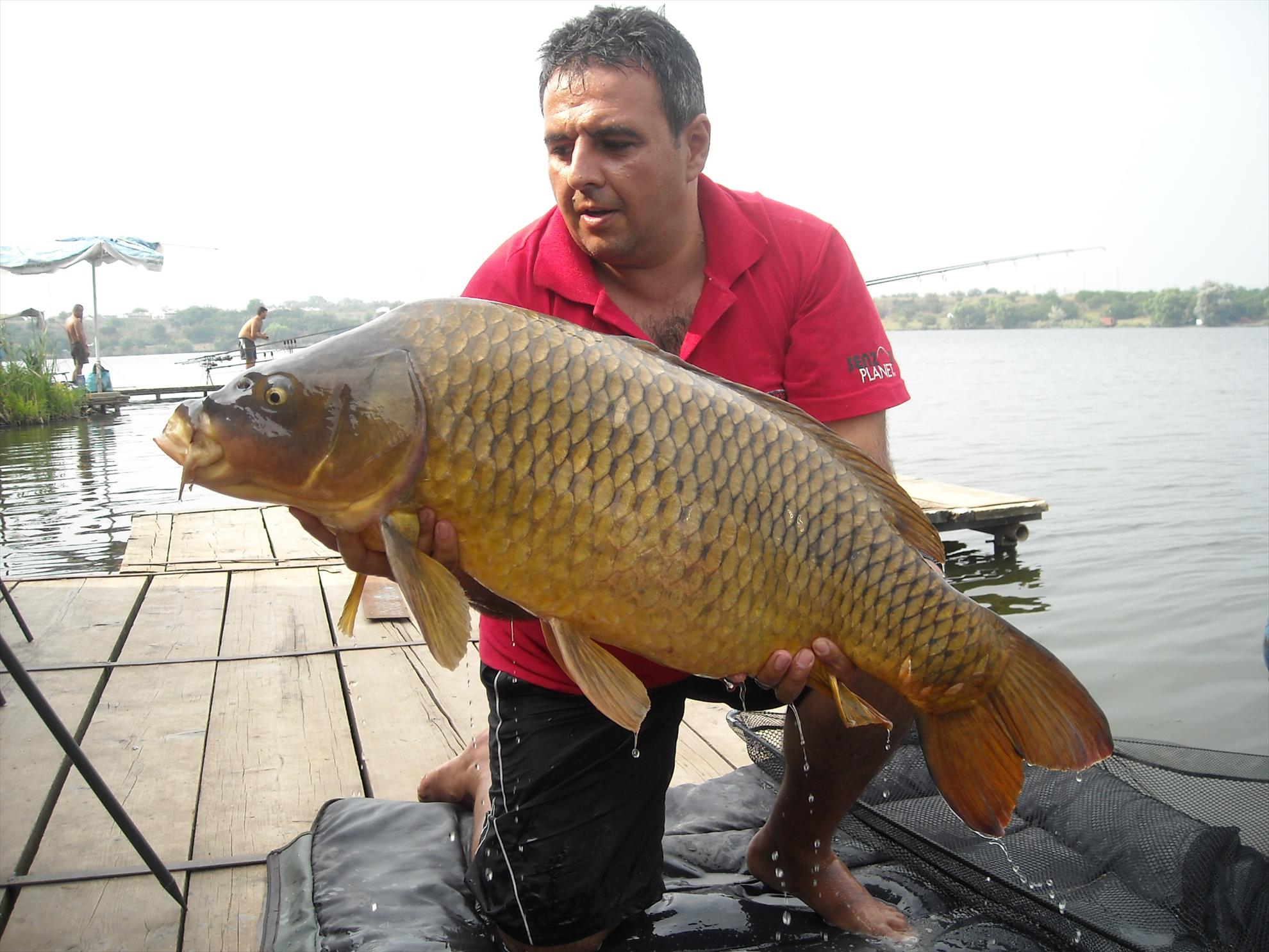 Open Tancabesti - 2010 - dscn7375.jpg